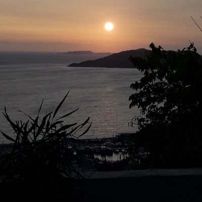 nermintrkmen1's profile picture. 