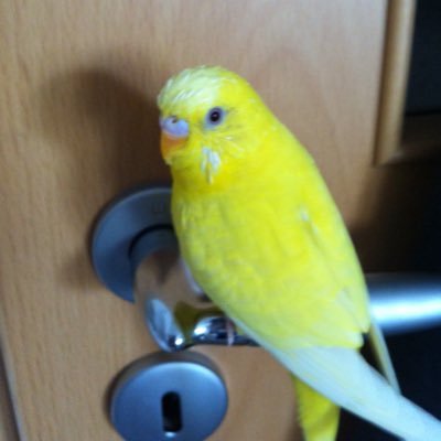 Recepzb44895917's profile picture. 