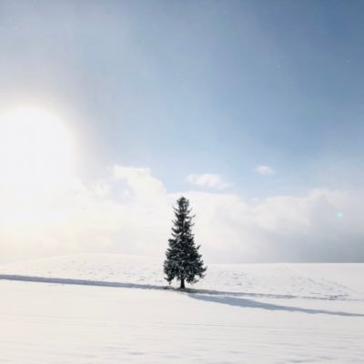 旅が好き。酒が好き。サウナは愛してます。都内サウナに連日出没中。世界一周/日本一周/サウナスパ健康アドバイザー