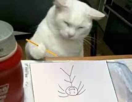 老芹さんのプロフィール画像