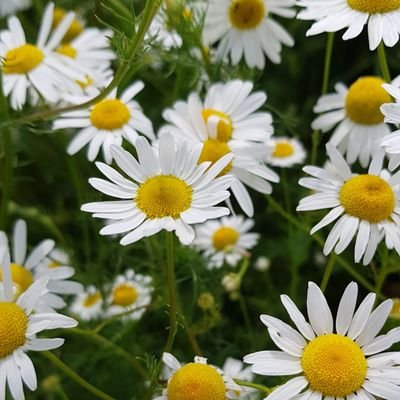 lanemie71's profile picture. Life is a journey, not a destination.