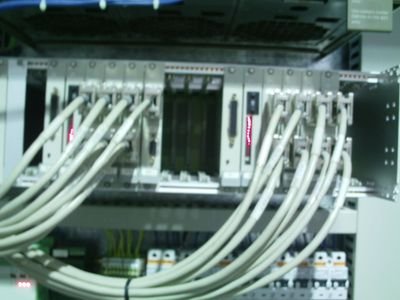 sassiBenabdelk1's profile picture. bassous454