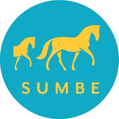 sumbe_fr Profile Picture
