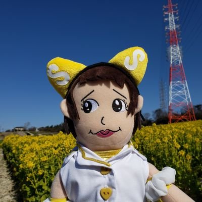 ぽりちんさんのプロフィール画像