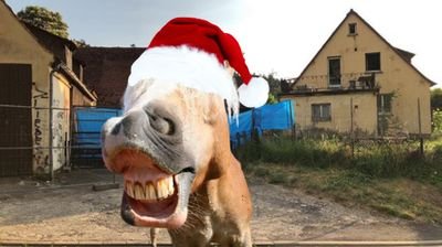 geilesPferd0's profile picture. genderfluides Transpferd, Pronomen he/she/it