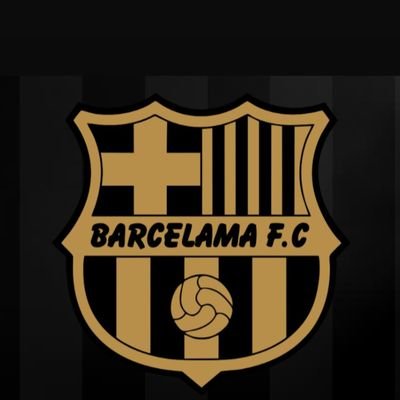 BarcelamaC's profile picture. União