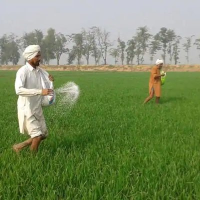 pramod_burnwal's profile picture. Don’t follow me because I don’t even know where I’m going