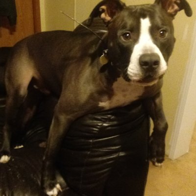 Torgo2fast4u's profile picture. 