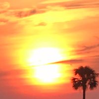 LIMINAL STATE (@theliminalstate) 's Twitter Profile