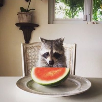 phiru8's profile picture. 