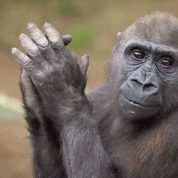 bertmacklin191's profile picture. 