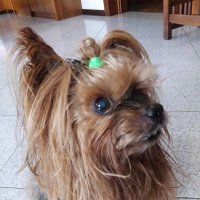 Roberta Dal Pra (@robertadalpra) 's Twitter Profile