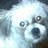 Katrina2u's profile image