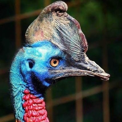iTarangSinghal's profile picture. Mind Boggler | OTB thinker | NOT Off The Shelf Believer | Indian | PIA of Antis | Masculinist | Friends' Dopamine