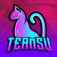 Team SV (@teamsv8) 's Twitter Profile