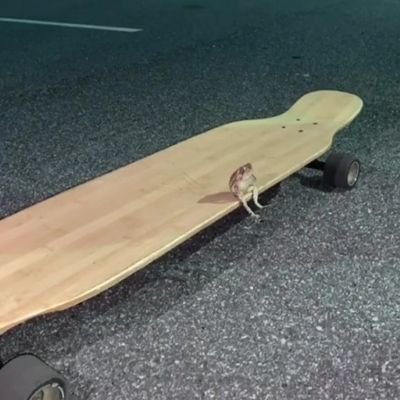 Ralsputin's profile picture. He/Him