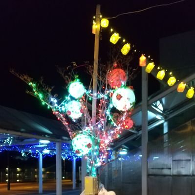 5FiuqOnCzz5sROk's profile picture. 最近のブームは美味しいものを食べること。作曲・Unityなど勉強中