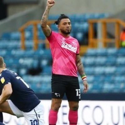 Leicestershire Ram Profile