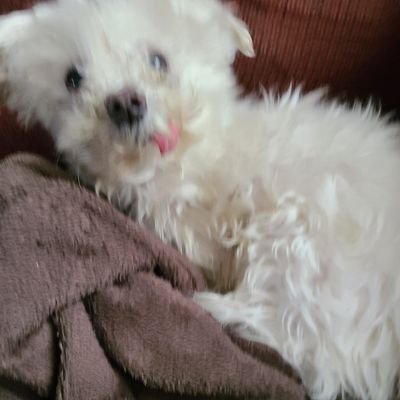 Khas31973902's profile picture. 