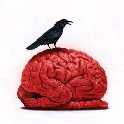 Lyov42231657's profile picture. 