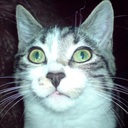 Edwin Knowles - @Edwin_Knowles - Twitter