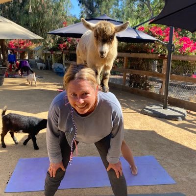 sandrasandia5's profile picture. Musician / energy healer/