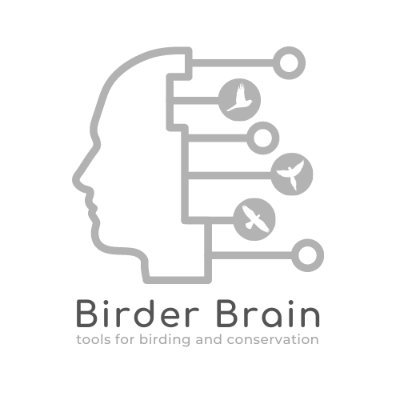 BirderBrain Profile Picture