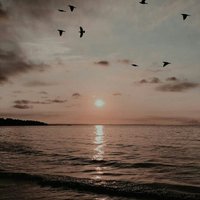 Fy (@fina66704032) 's Twitter Profile