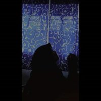 Billaahh (@billaahh3) 's Twitter Profile