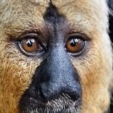 僕は、僕はね、人間じゃないんだよ。北辰斜に射す地にて一年前からハドヴィガー＝ネルソン問題を勉強 人生が360°変わった…364°…369°になったかな  ダイコン都ブドウ県オコメ県みな懐かしい