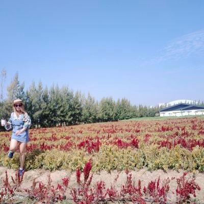 PiM_milk's profile picture. 