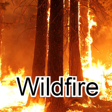 wildfire_0013's profile picture. 1st Year University Student