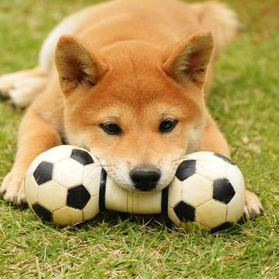 涼麼📮🦴⭐️精神安定剤さんのプロフィール画像