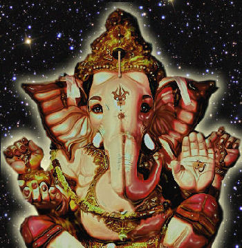 exotiek's profile picture. Webwinkel voor sieraden, sjaals, New Age, Gothic en religieuze spullen, gerund door een knettergekke olifant