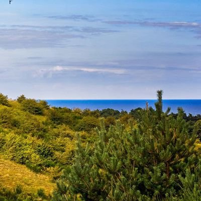 5null1's profile picture. jeune