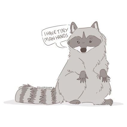 I like raccoons