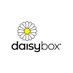 Daisybox® (@daisyboxcaskets) Twitter profile photo Daisybox® (@daisyboxcaskets) Twitter profile photo