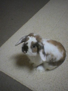 samsan117's profile picture. キモキモアラフィフ。 愛車はジムニーJB64W(ブルーイッシュブラックパール) 趣味は食べる事とプロレス観戦他多数有