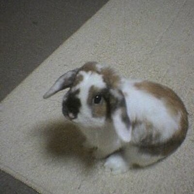 sam (@samsan117) / X