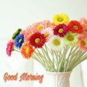 Shanti Kumar - @ShantiK93629885 - Twitter