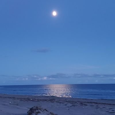 izayan2019's profile picture. 