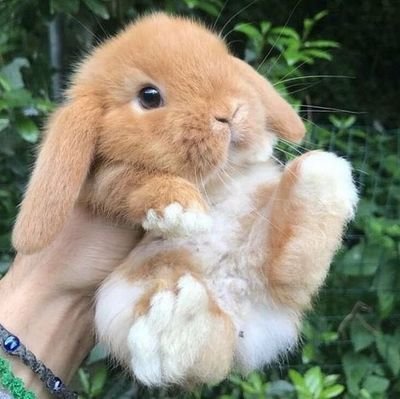 룸さんのプロフィール画像