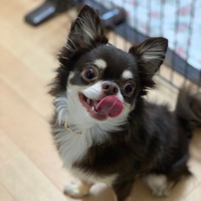 eRNECGs4vLsZiL9's profile picture. 今年26歳 営業→エンジニアへの転職を目指し勉強中