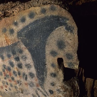 Ce site préservé depuis des millénaires présente l’une des plus belles expressions artistiques de l’humanité. Grotte du Pech Merle un bond de 29000 ans.