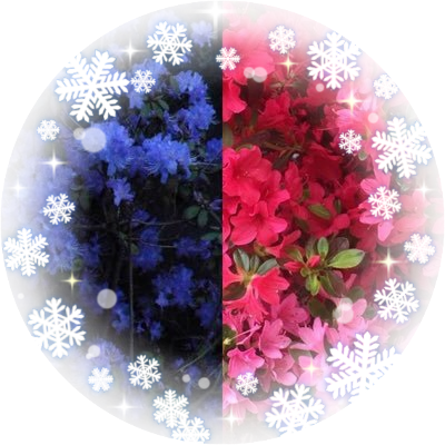 ほたる 卍 Snowcandysweet Twitter ほたる 卍 Snowcandysweet Twitter