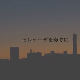 セレナーデを奏でにさんのプロフィール画像