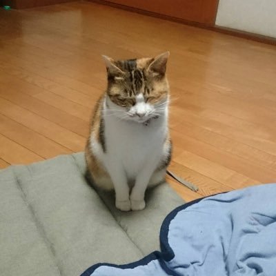K6OJJ5itXpUqDLV's profile picture. 阪神間で塾講師をしております。中学受験の国語、中高一貫校生の英語と国語、大学受験の英語、現代文、小論文、古文、漢文、倫理政経でお困りの方はお気軽にご相談下さい。
