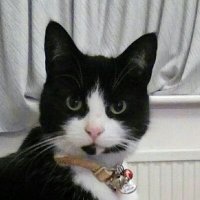 Sandra (@sandra42029412) 's Twitter Profile