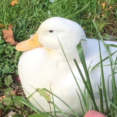 ニュースいろいろつぶやきます🍀*゜