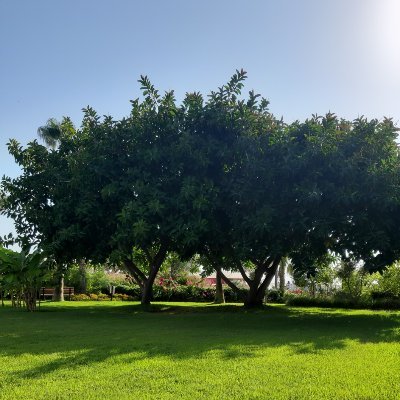 Talip95747376's profile picture. ARAŞTIRMACI